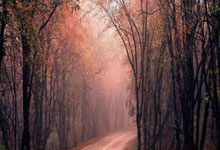 卖队长?星报独家:皇马考虑9000万英镑挖角B费,已多次现场考察.