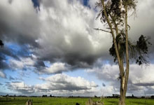 28圈:坐拥4座欧冠&36次荷甲冠军,阿贾克斯迎建队125.